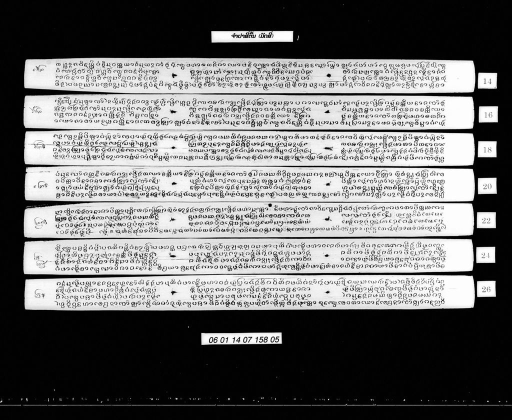 ຈຳປາສີ່ຕົ້ນ (ມັດ4)