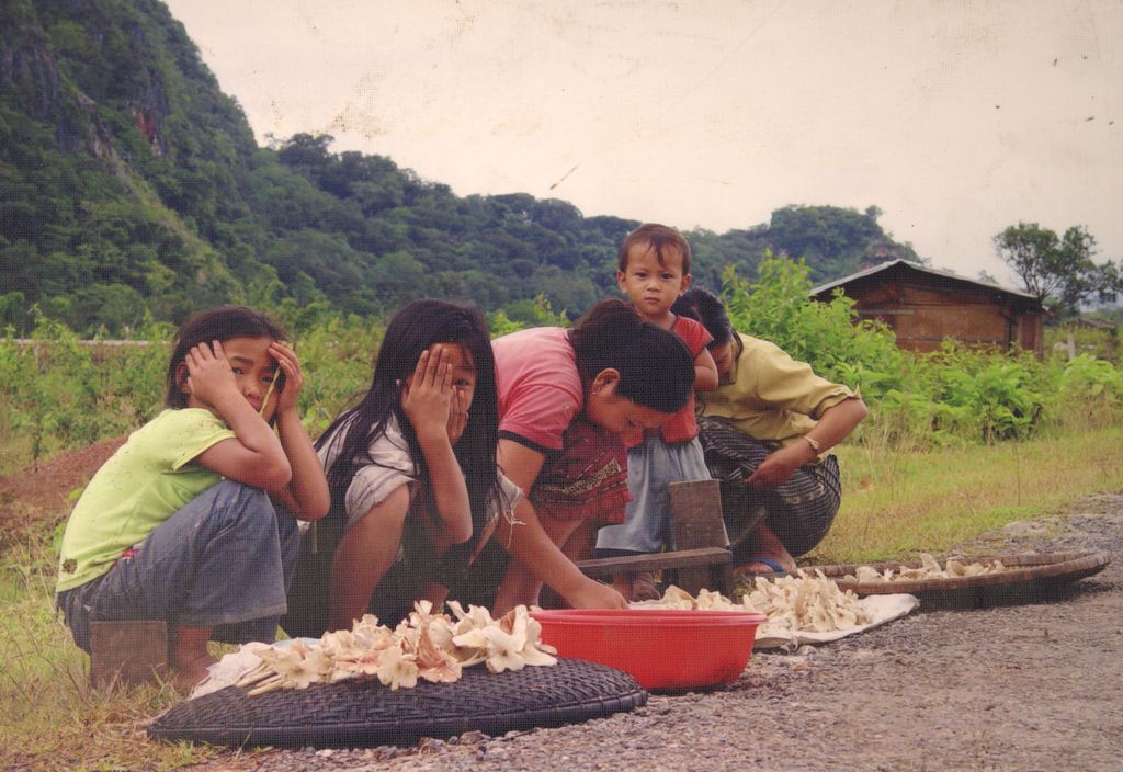 ເດັກ​ນ້ອຍ​ຊ່ວຍ​ແມ່​ຂາຍ​ເຫັດ