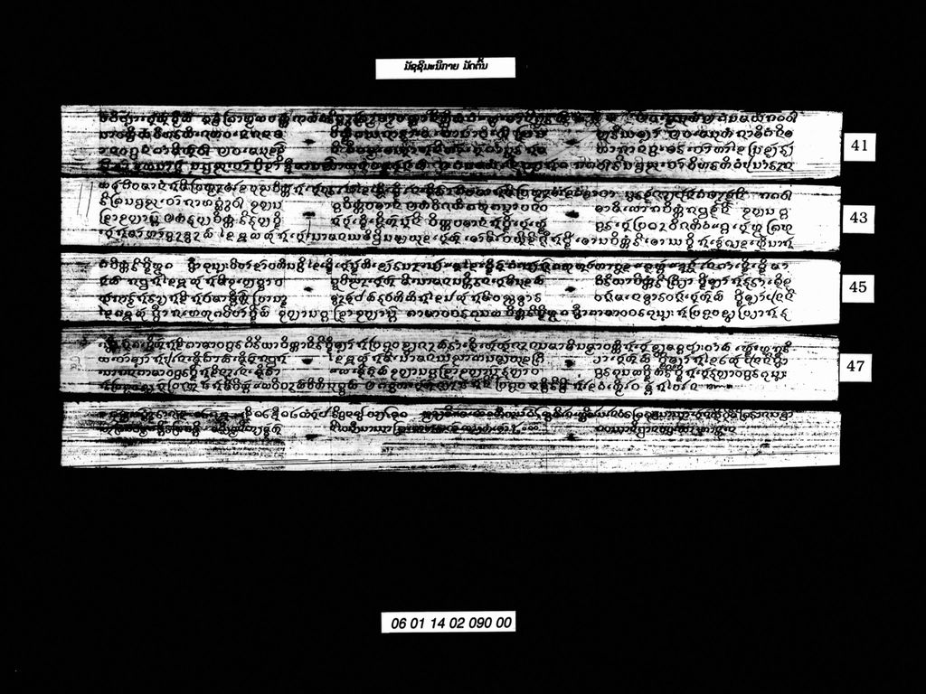 ມັຊຊິມະນິກາຍ ມັດຕົ້ນ