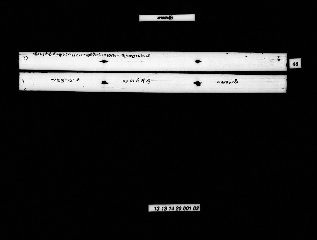 ທາຕສະກຸ້ງ