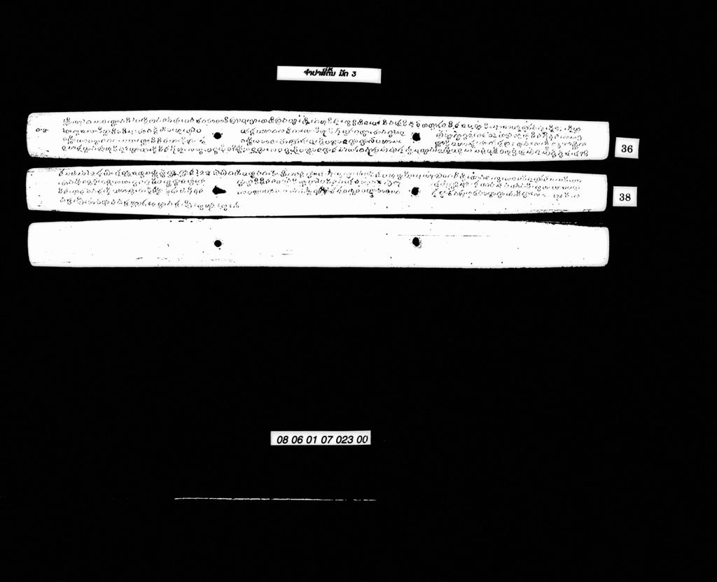 ຈຳປາສີ່ຕົ້ນ (ມັດ3)