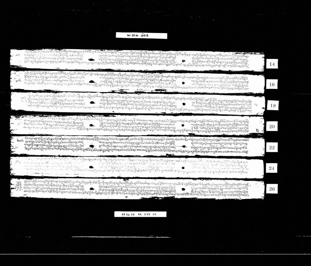 ພະລາມ (ມັດ2)