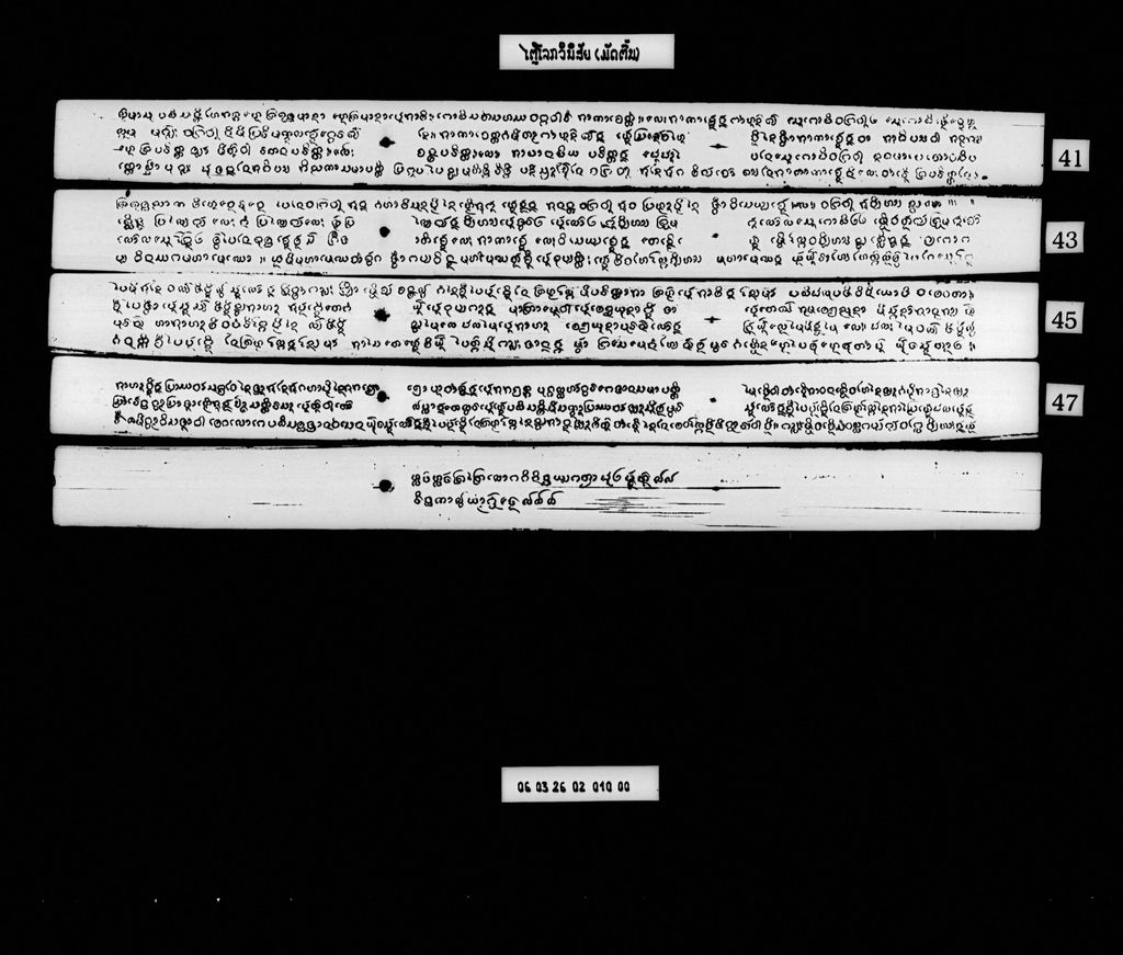 ໄຕຼໂລກວິນິສັຍ (ມັດຕົ້ນ)