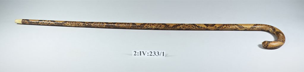 ໄມ້ຄອນເທົ້າ ເຮັດດ້ວຍໄມ້ ຫຸ້ມດ້ວຍໜັງງູ.