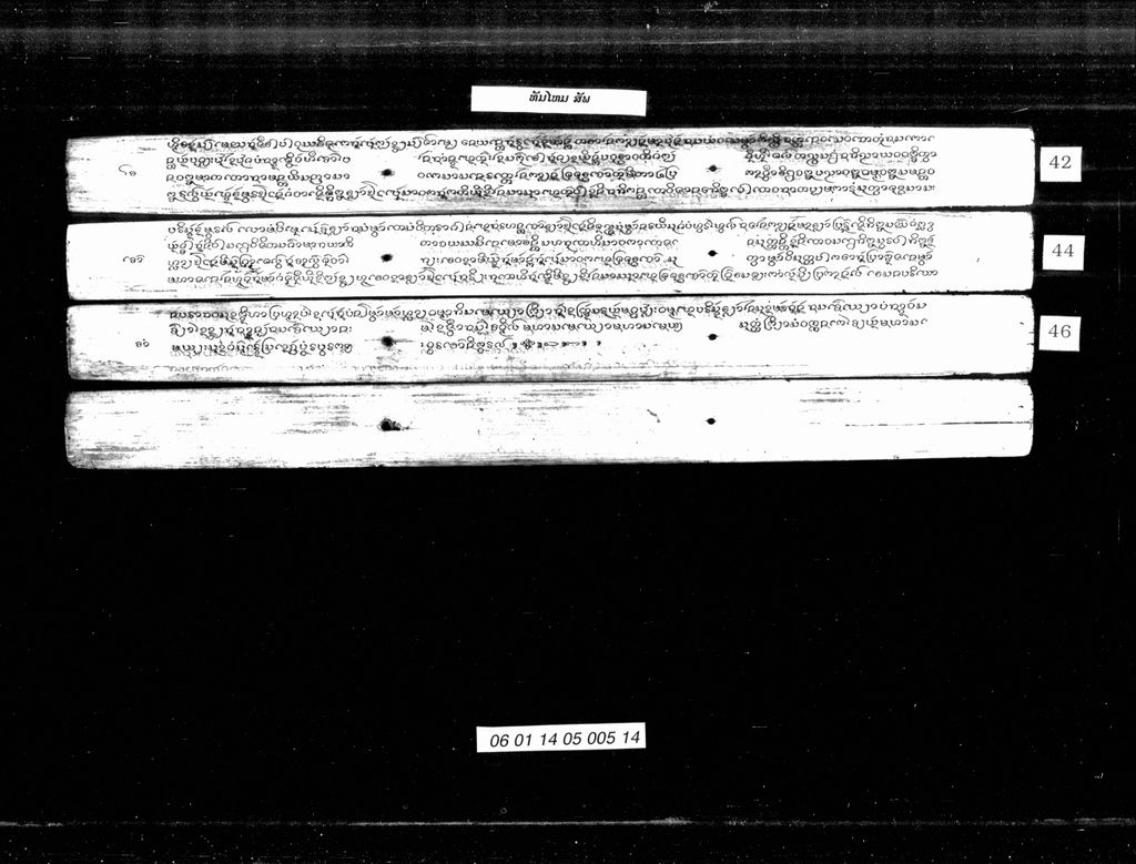 ທັມໄໝ (ສັພ)