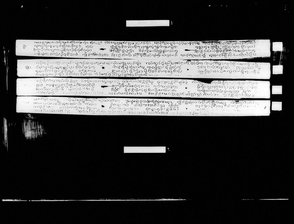 ນົກນ້ອຍ (ນິຍາຍ)