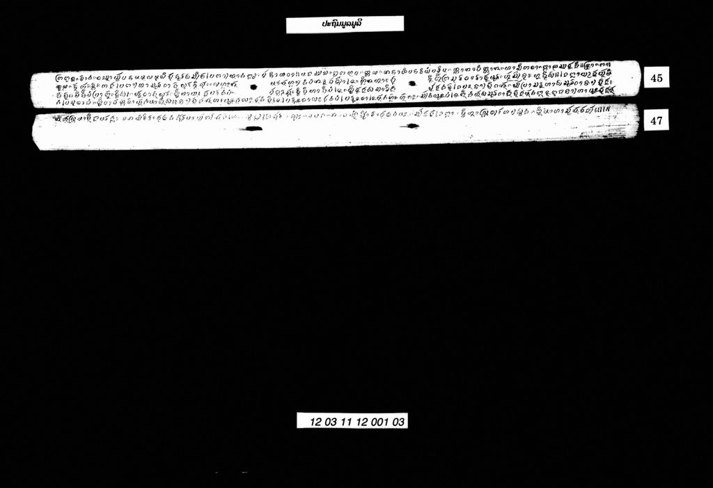 ປະຖົມມູລມູລີ