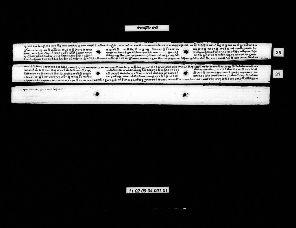 ປາຣາຊິກັນ (ປາລີ)