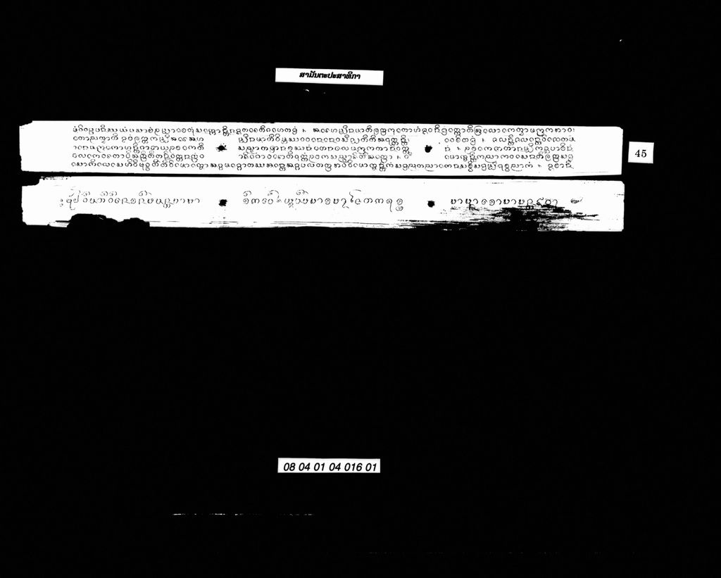 ສາມັນຕະປະສາທິກາ