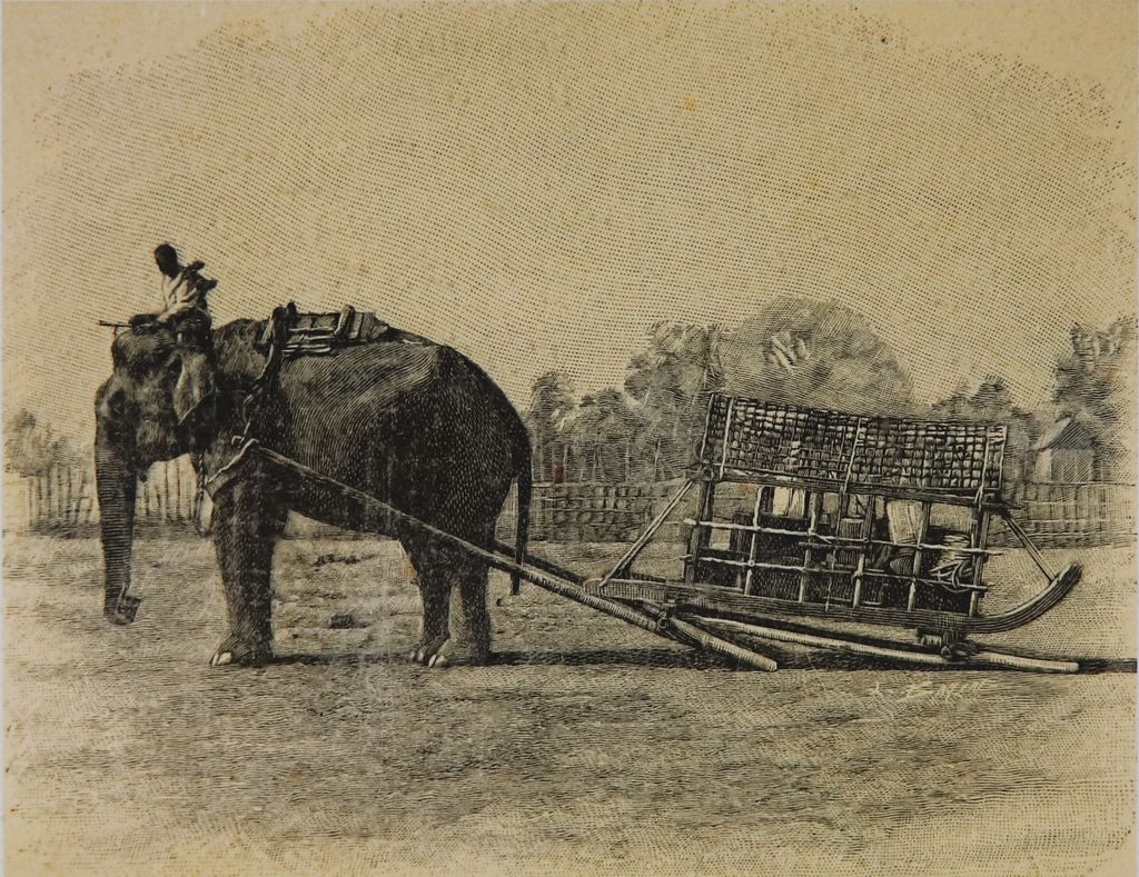 ຮູບພາບຂາວດໍາ  ຊ້າງລາກເຄື່ອງ ປີ 1900