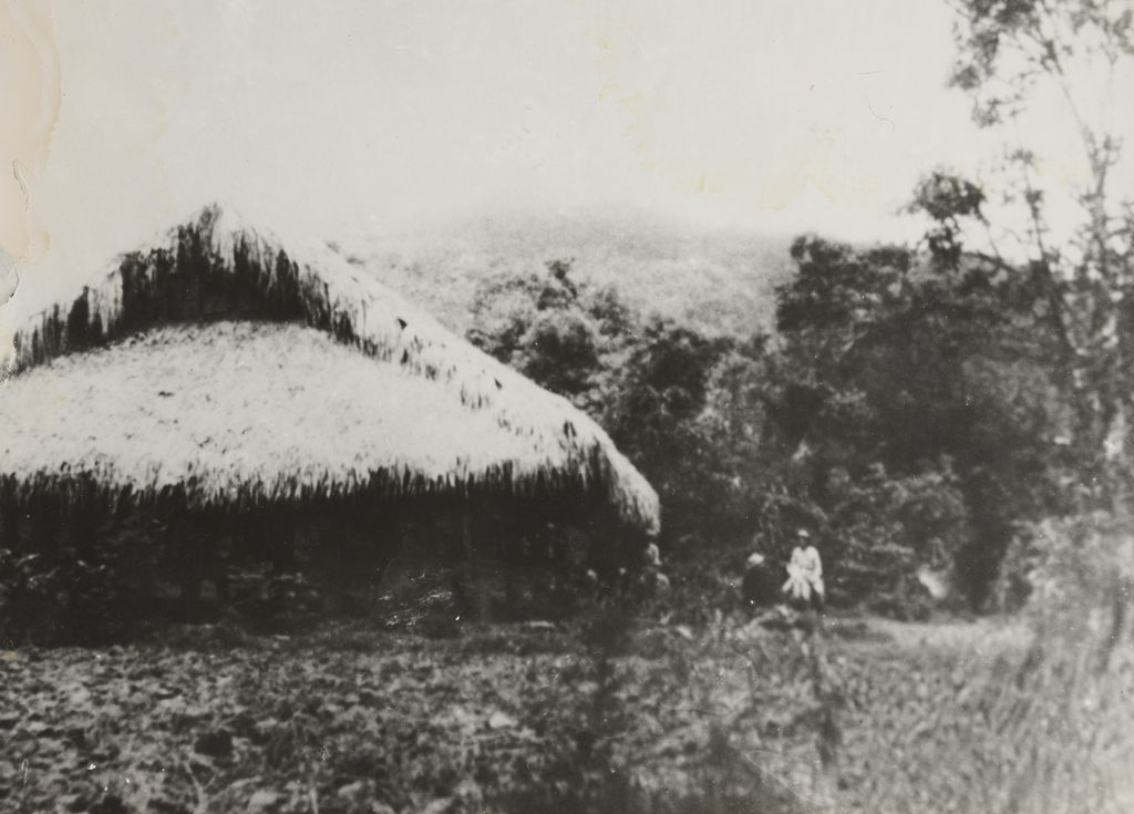 ເຮືອນ​ທີ່​ມຸງ​ດ້ວຍ​ຫຍ້າ​