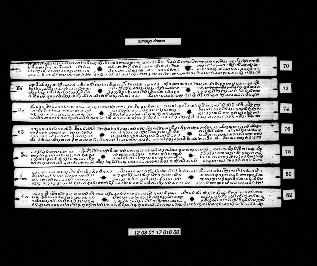 ໝາຫຍຸຍ (ກອນ)