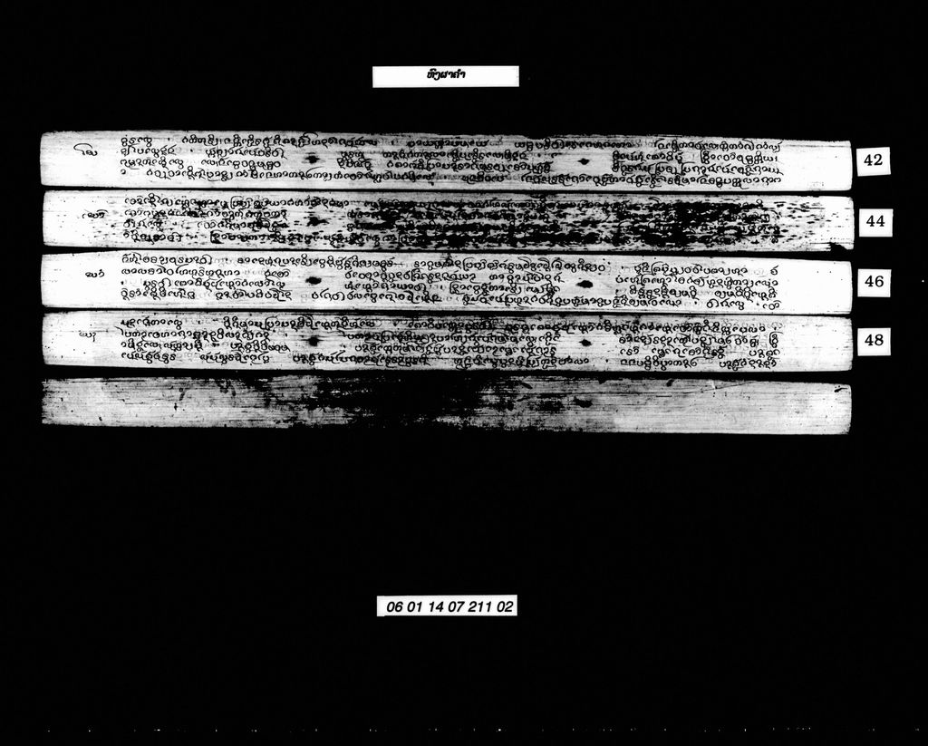 ຫົງຜາຄຳ