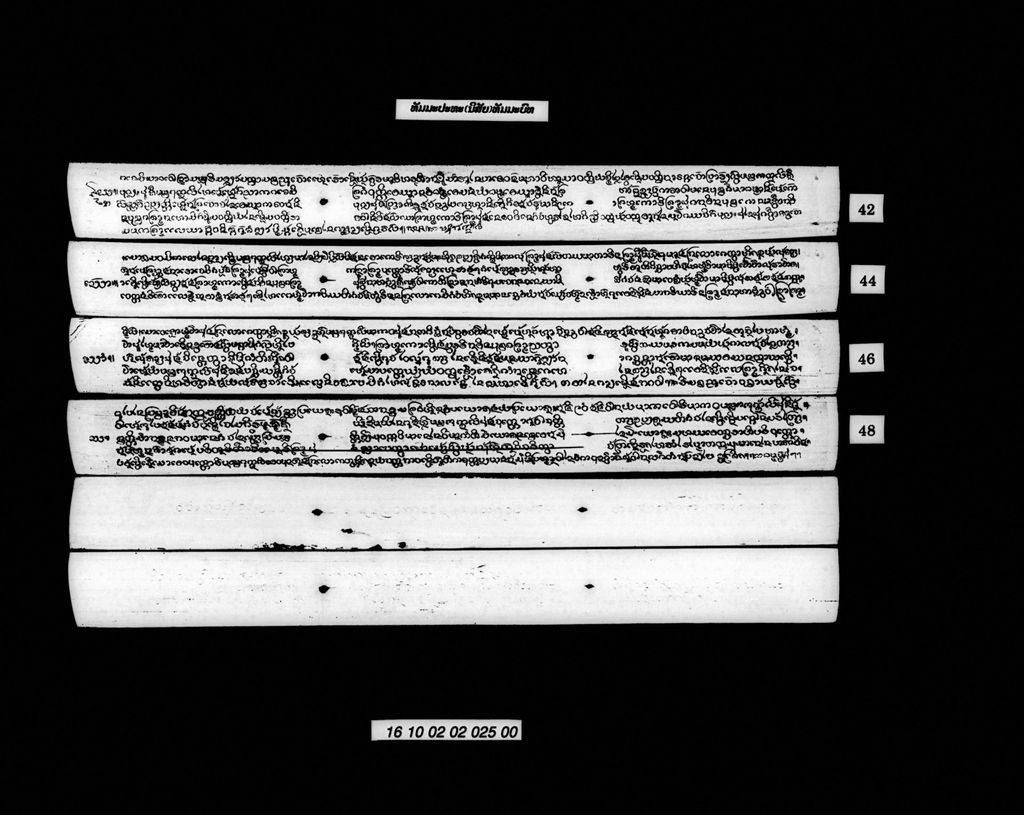 ທັມມະປະທະ (ນິສັຍ) ທັມມະບົທ