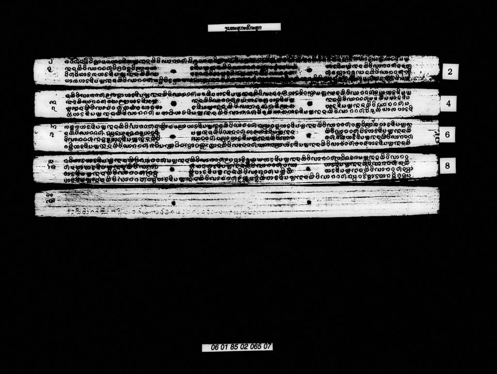 ຈຸນທະສຸກະຣິກະສູຕ(ຍອດທັມ)