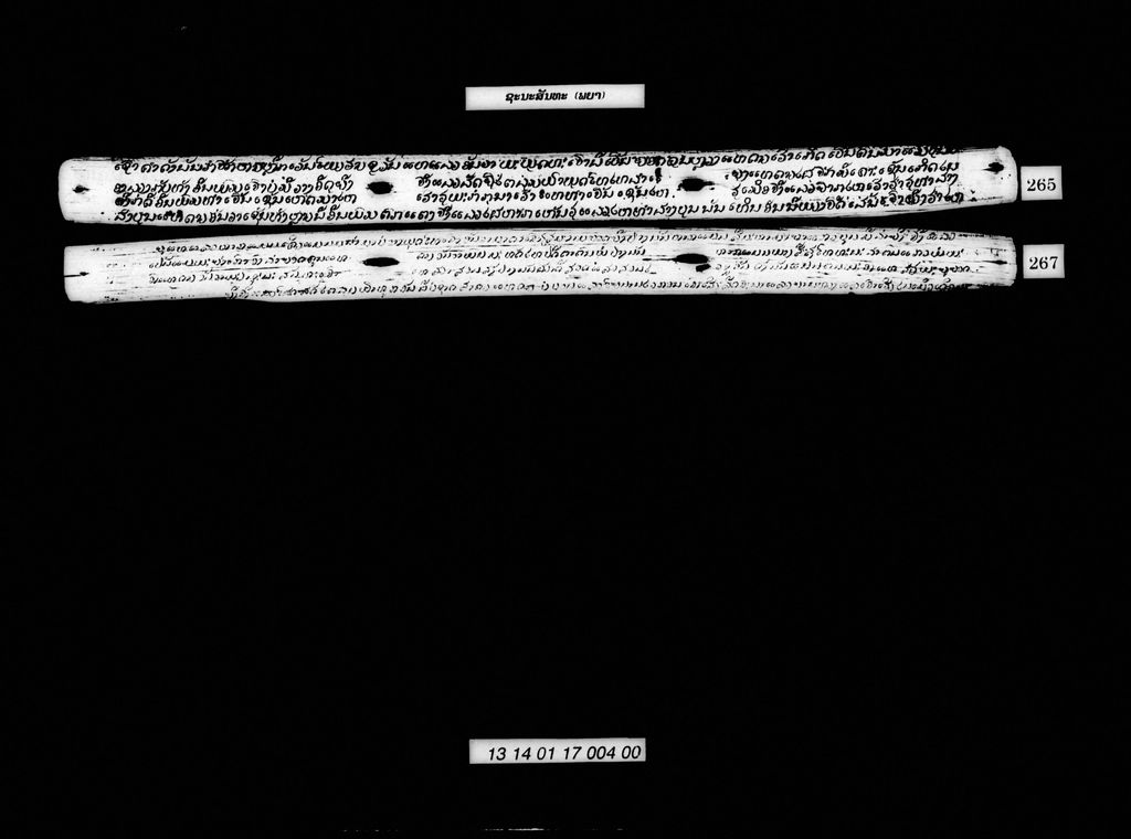 ຊະນະສັນທະ (ພຍາ)