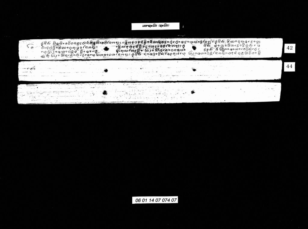 ມຫາຊະນົກ (ຊະນົກ)