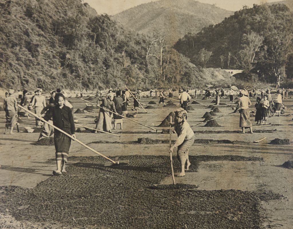 ຊາວ​ສະ​ຫະ​ກອນ ນາ​ເກືອ