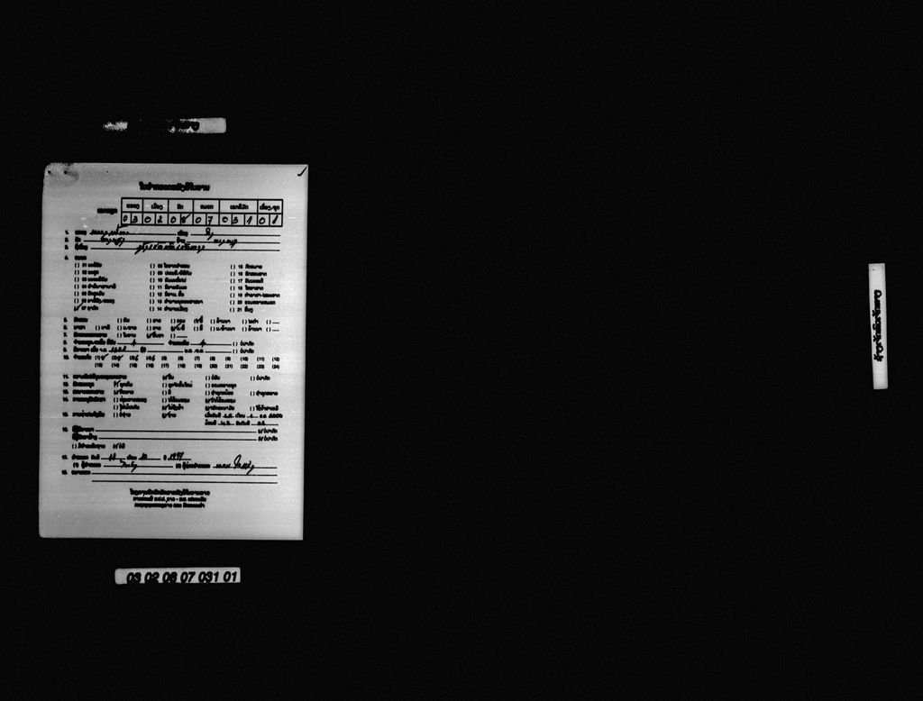 ຊ້າງເຈັດຫົວເຈັດຫາງ