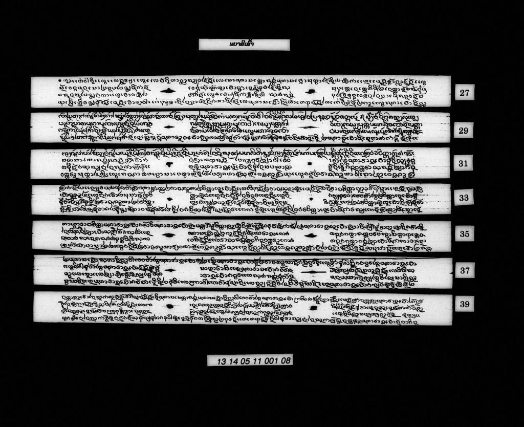 ພຍາສີເສົ້າ