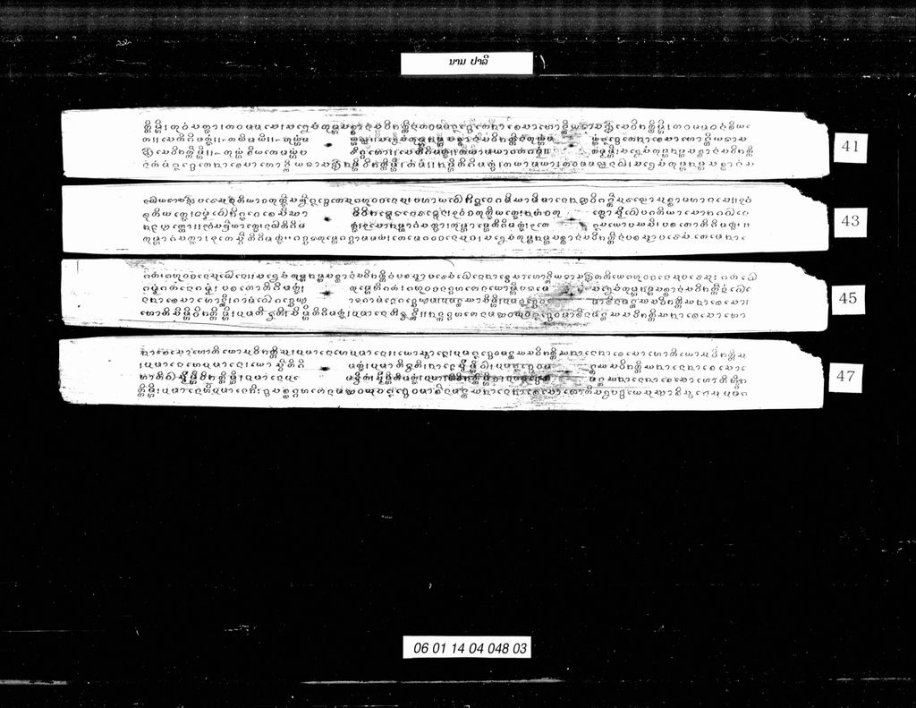 ນາມ ປາລີ