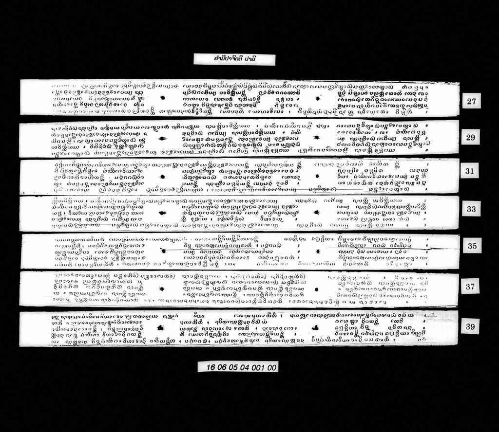 ຄຳພີປາຈິຕຕີ (ປາລີ)