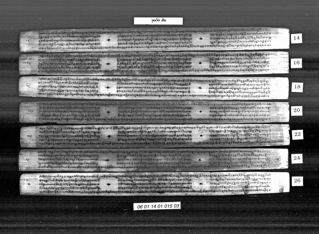 ຈຸລວັຄ ( ສັພ )