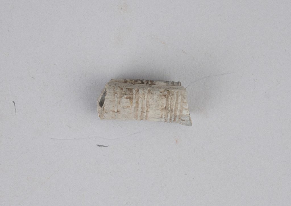 ຊີ້ນສ່ວນກາງຂອງກອກຢາສູບ