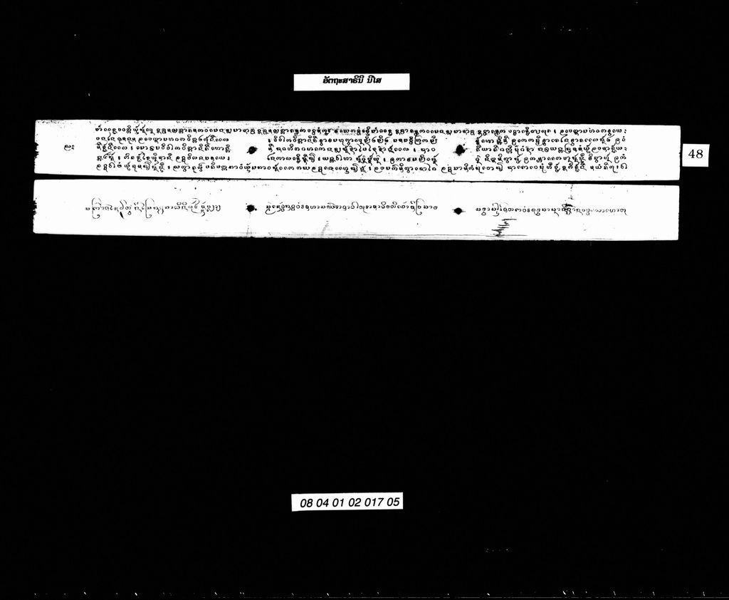 ນິໄສອັຕຖະສາຣິນີ