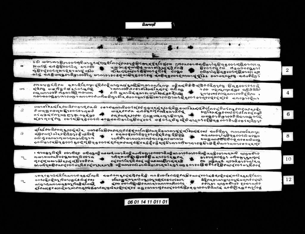 ພິມພາເຖຣີ