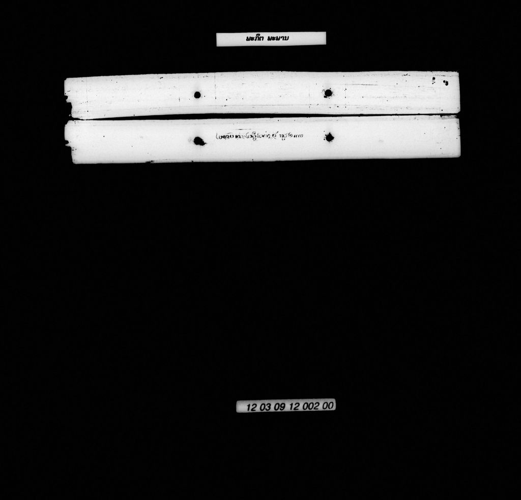 ພະກຶດພະພານ