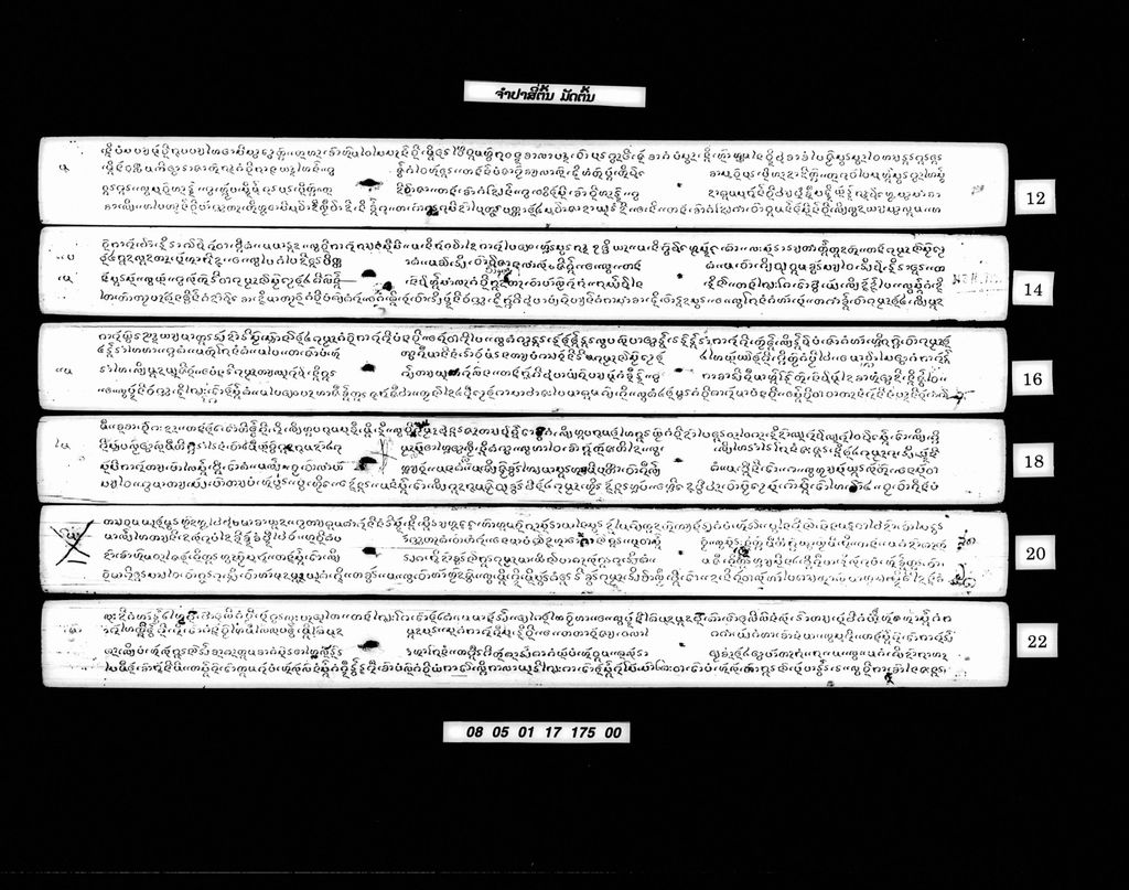 ຈຳປາສີ່ຕົ້ນ ມັດຕົ້ນ