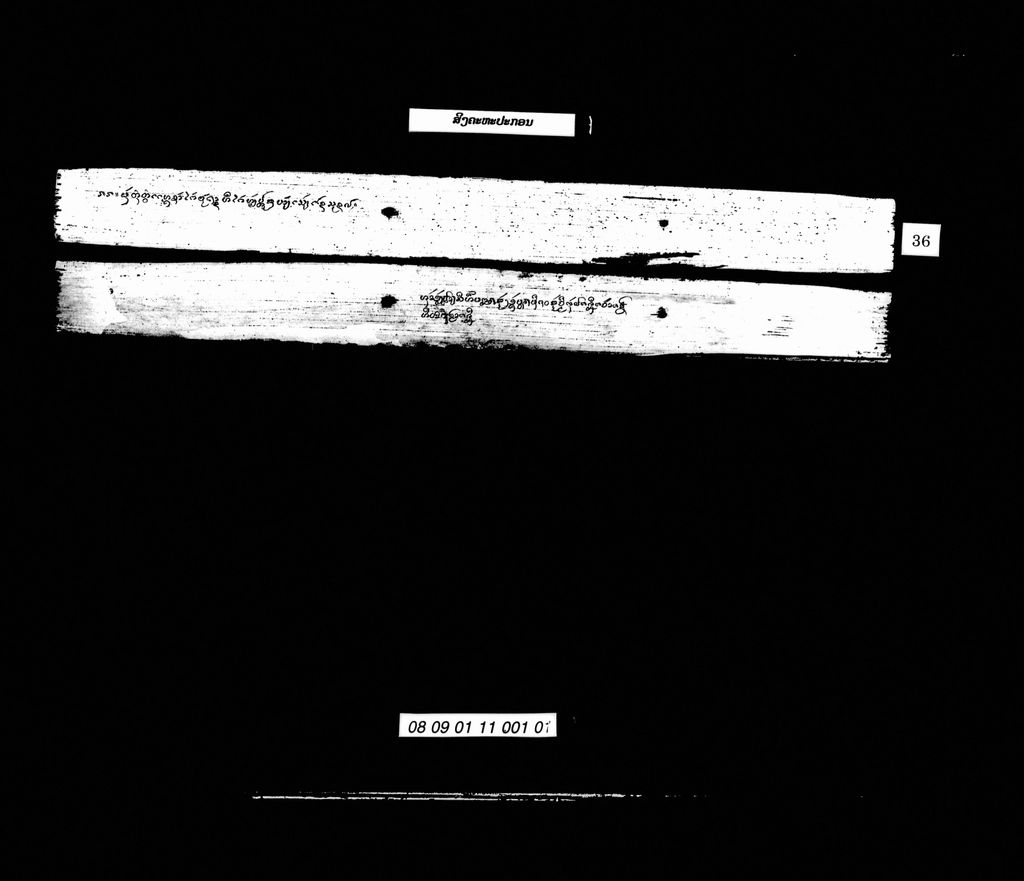 ສິງຄະຫະປະກອນ/ສິງຫະປະກອນ