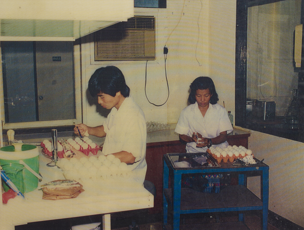 ການກວດ​ສອບ​ຄຸນ​ນະ​ພາບ​ໄຂ່​ໄກ່