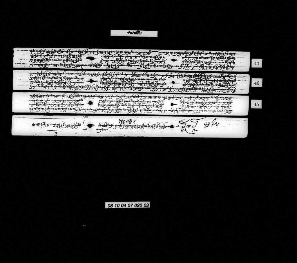 ຈຳປາສີ່ຕົ້ນ