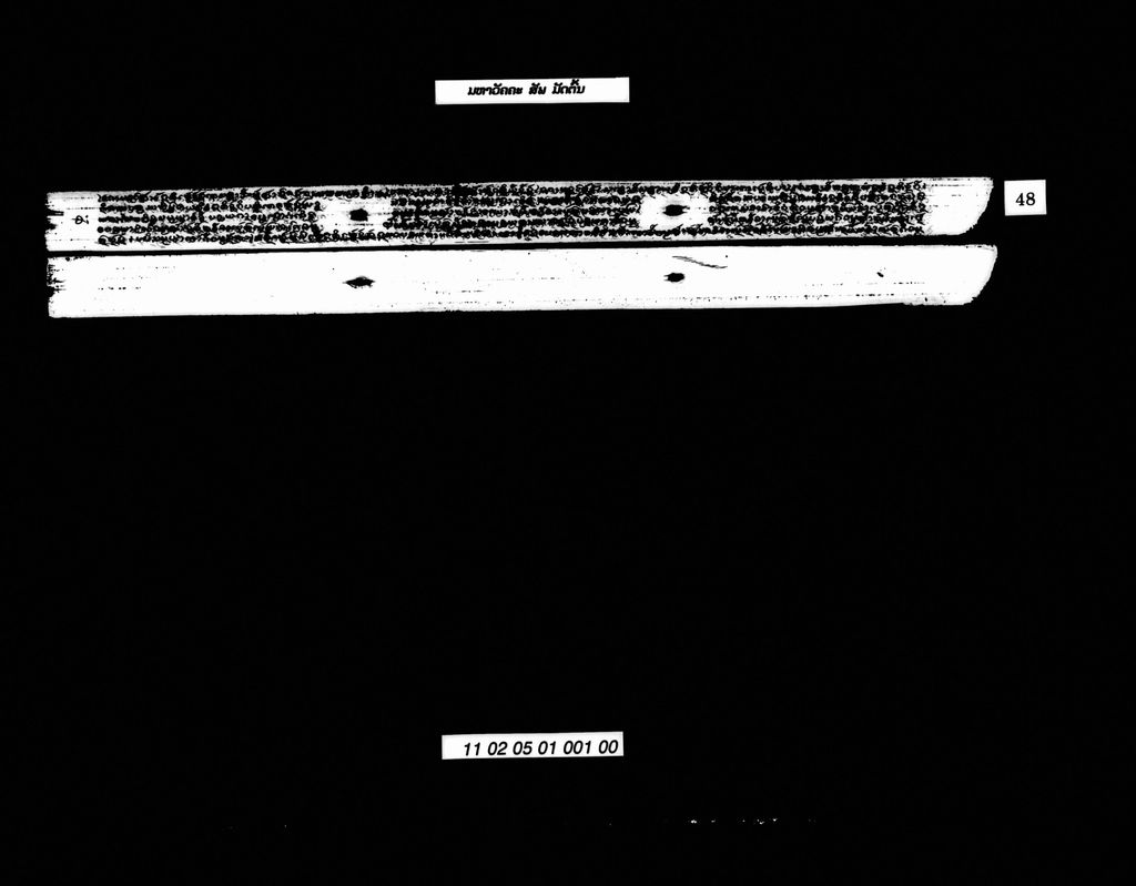 ມຫາວັຄຄະ (ສັພ) ມັດຕົ້ນ