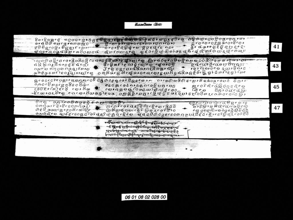 ທັມມະປັທທະ (ມັດ8)