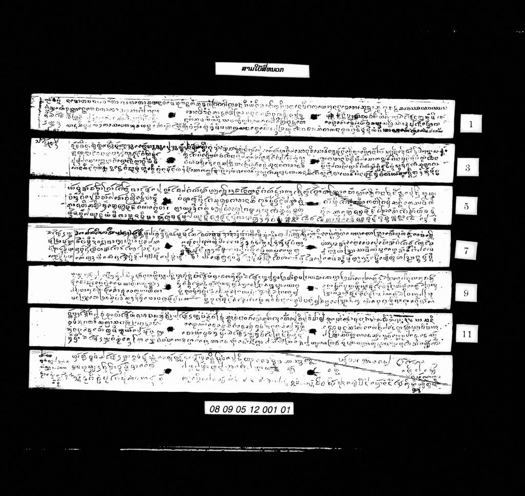 ສາມໄບ້ສີ່ໜວກ