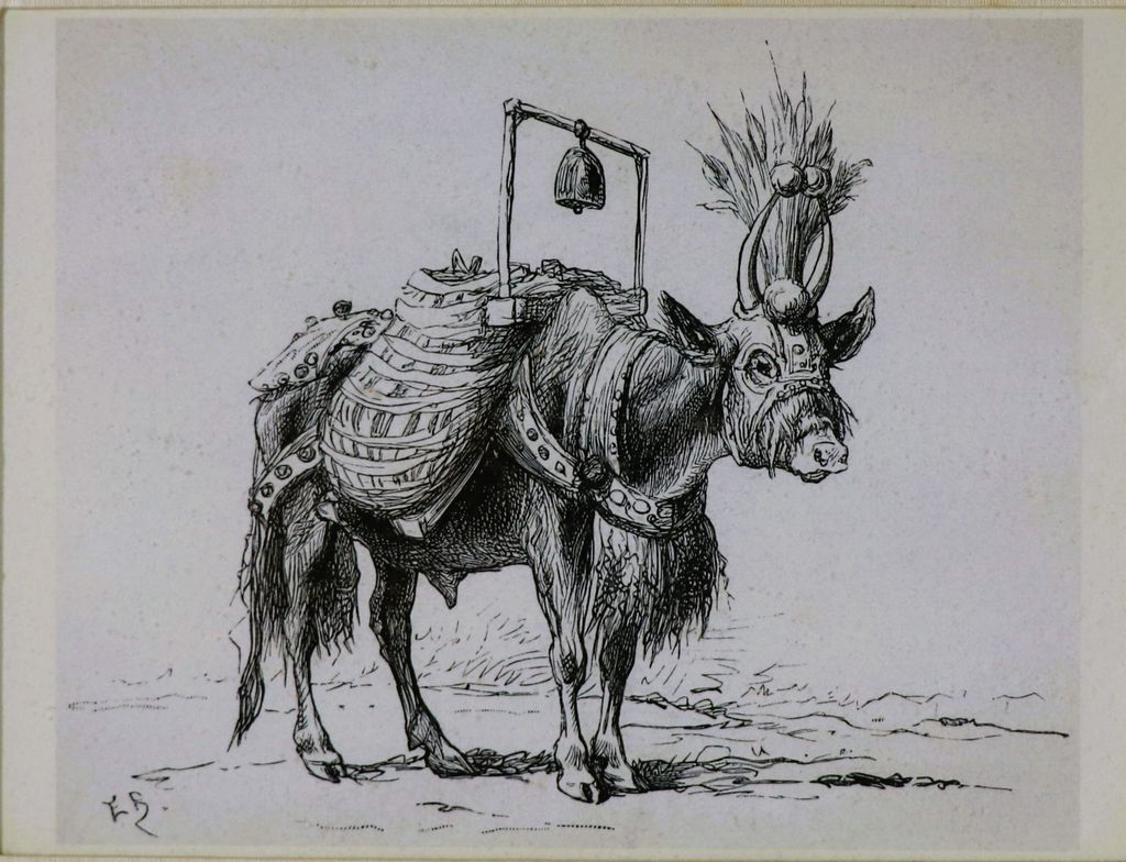 ຮູບພາບຂາວດໍາ ງົວຕ່າງເຄື່ອງ ປີ 1885