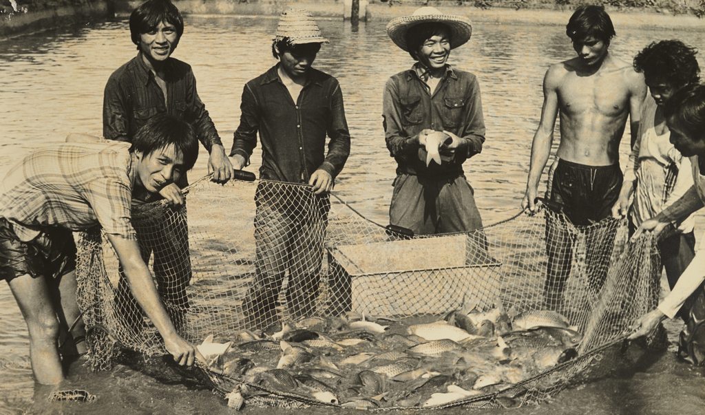 ສຸນ​ເພາະ​ພັນ​ປາ​ໜອງ​ແຕ່ງ