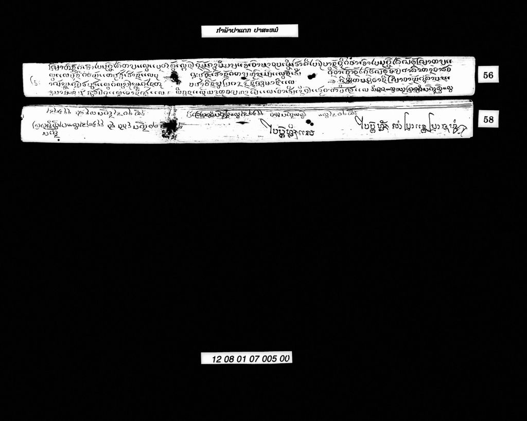 ກຳພ້າປາແດກປາສະໝໍ