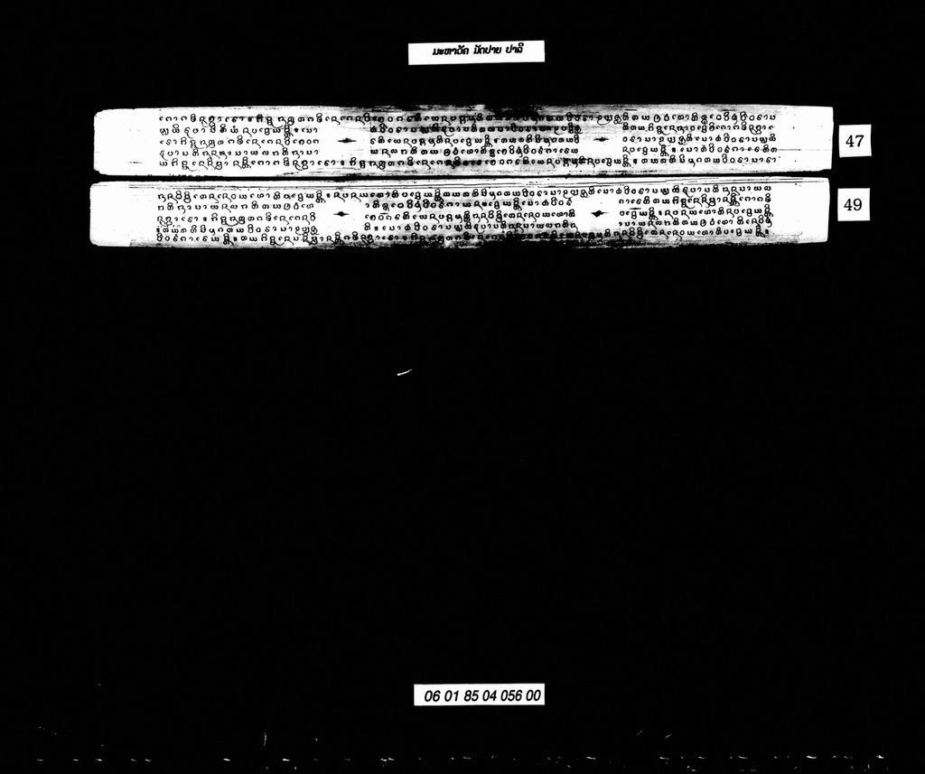 ມະຫາວັຄ ມັດປາຍ (ປາລີ)