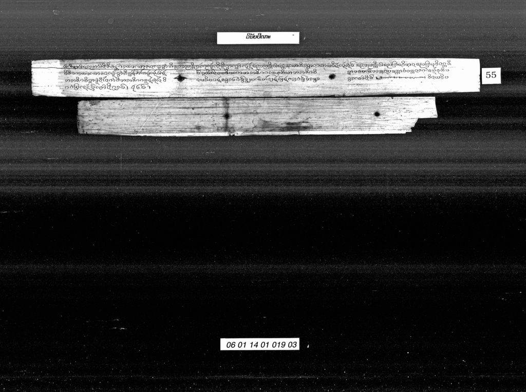 ວິນັຍປິຕກະ