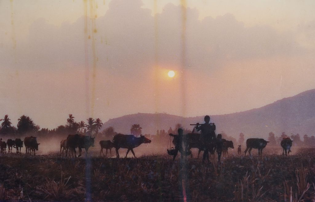 ຈຸດ​ໃໝ່​ຢູ່​ເຂດ​ທຳ​ມະ​ຊາດ​ບ້ານ​ນາ