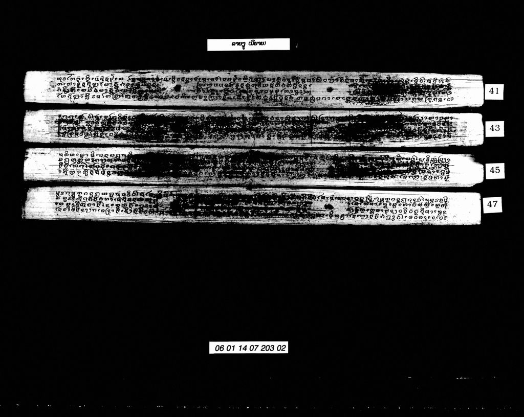 ລາຍງູ (ນິຍາຍ)