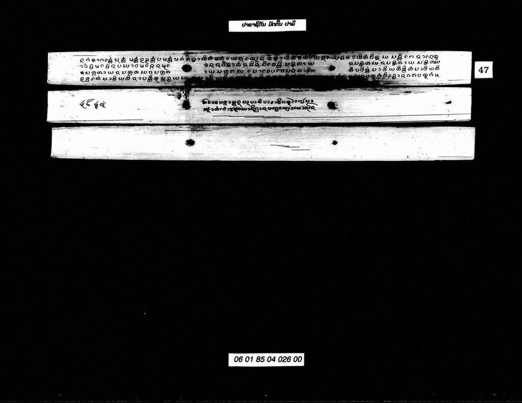 ປາຣາຊິກັນ ມັດຕົ້ນ (ປາລີ)