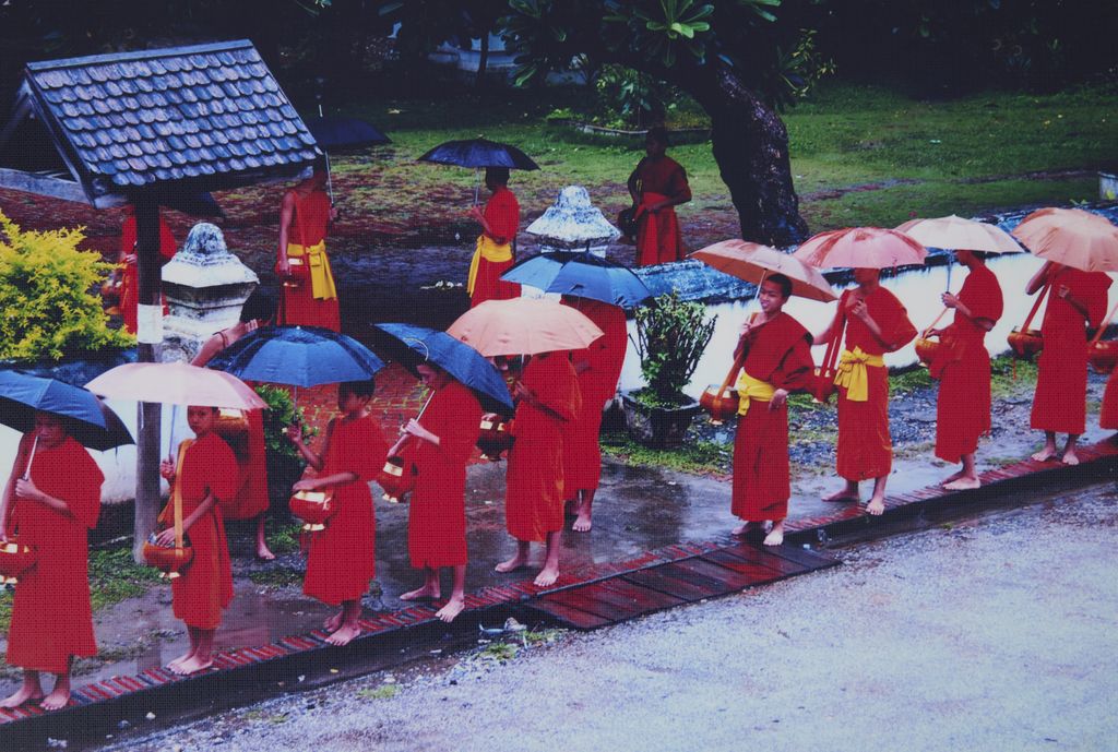 ຈົວ​ນ້ອຍ​ບິນ​ບາດ ​ຢູ່ແຂວງ​ຫຼວງ​ພະ​ບາງ