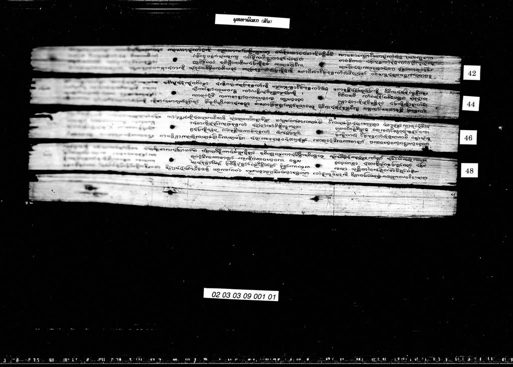 ພຸທທາພິເສກ (ສັພ)