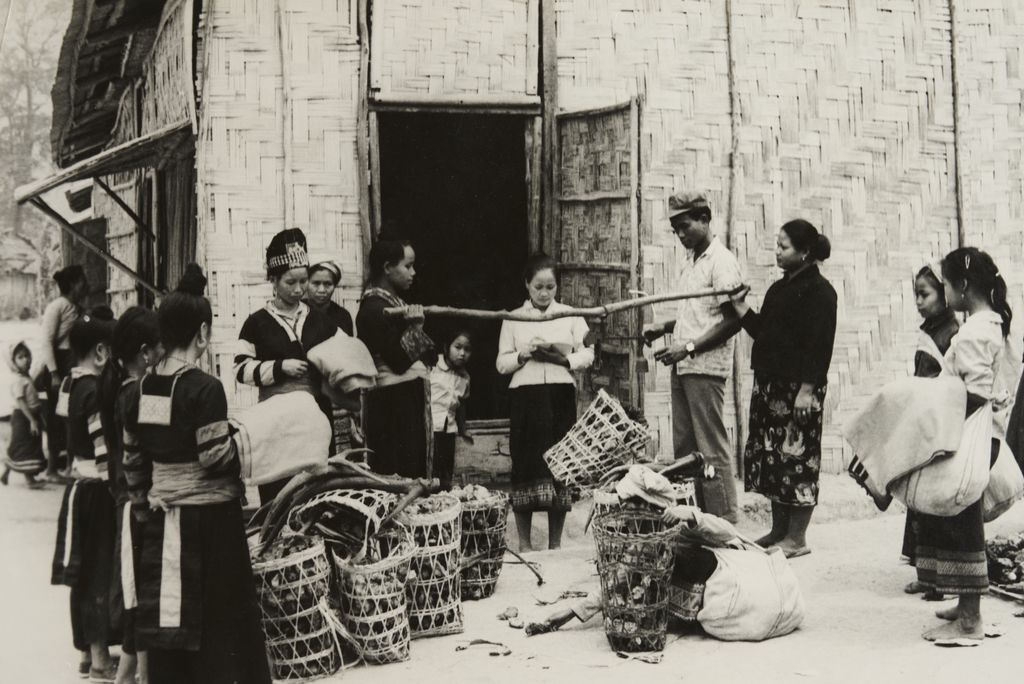 ການ​ເກັບ​ຊື້​ເຄື່ອງ​ປ່າ​ຂອງ​ດົງ