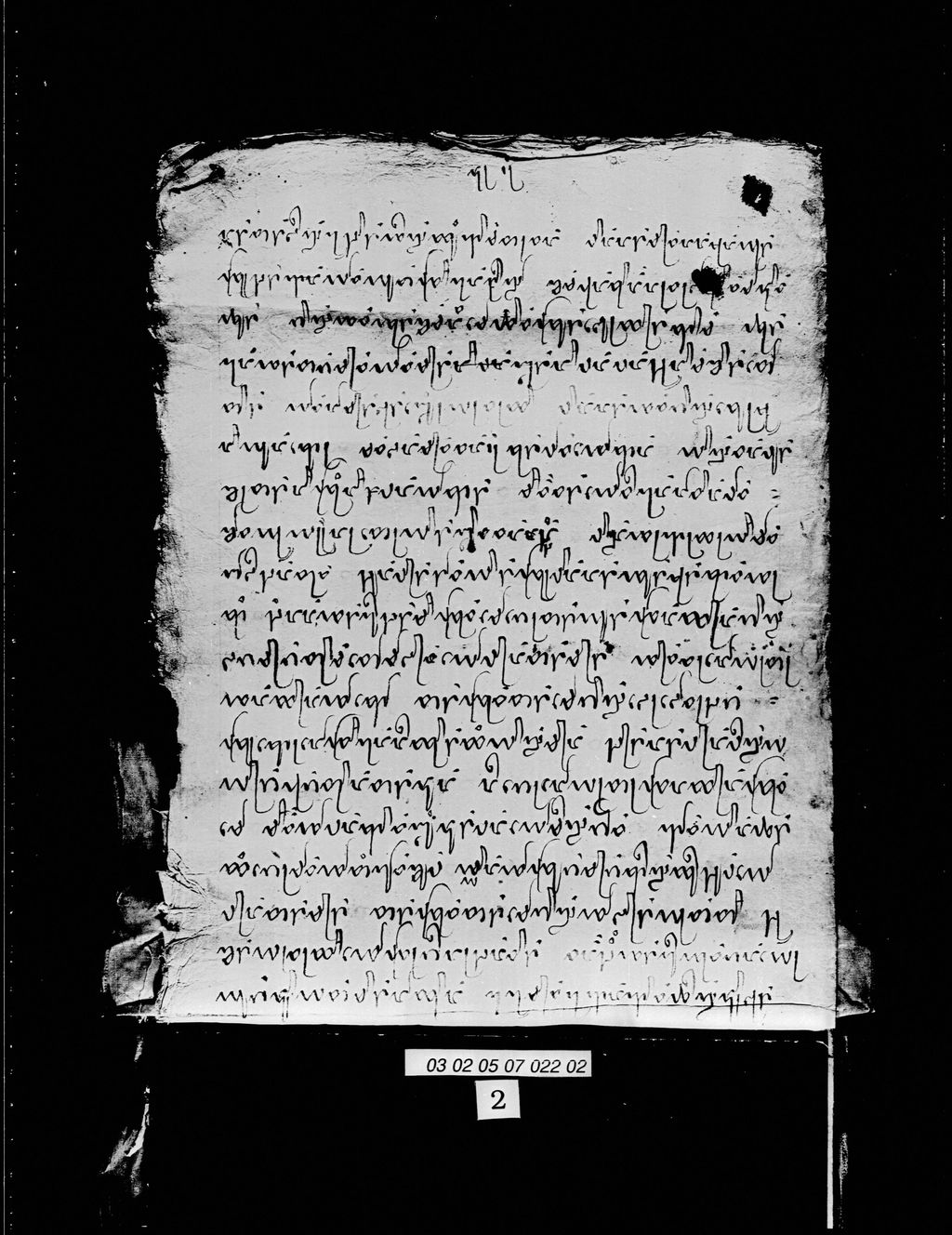 ລິ່ກສ່າງນ້ອຍ (ລິ່ກຈົວນ້ອຍ)